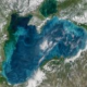 Бирюзовые вихри Черного моря